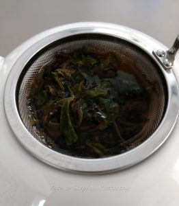 Teekampagne Gartentee Ging First Flush 2018