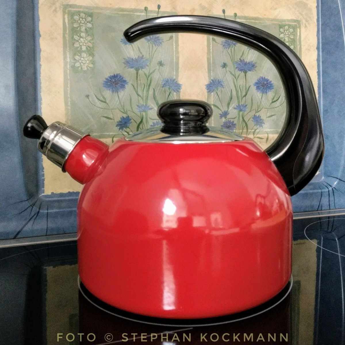 6L Edelstahl Wasserkessel Elektrischer Teekessel Flötenkessel Wasserkocher 220V 